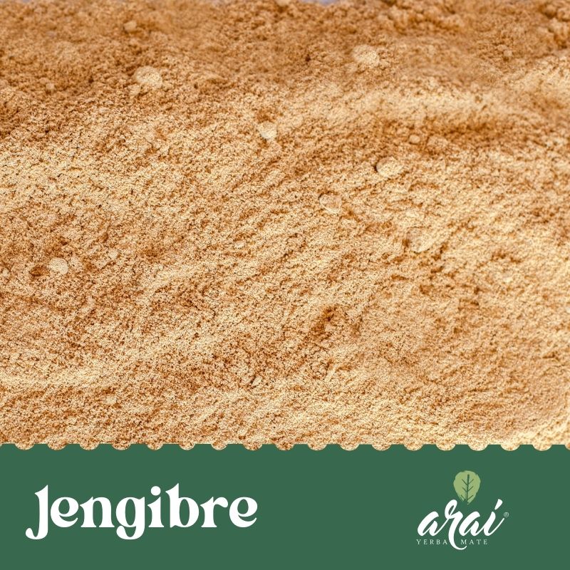 JENGIBRE X 100 GR