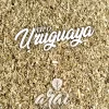 yerba mate tipo uruguaya