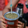 yerba sin palo araí